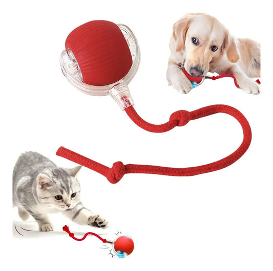 Pelota Interactiva Mascotas
