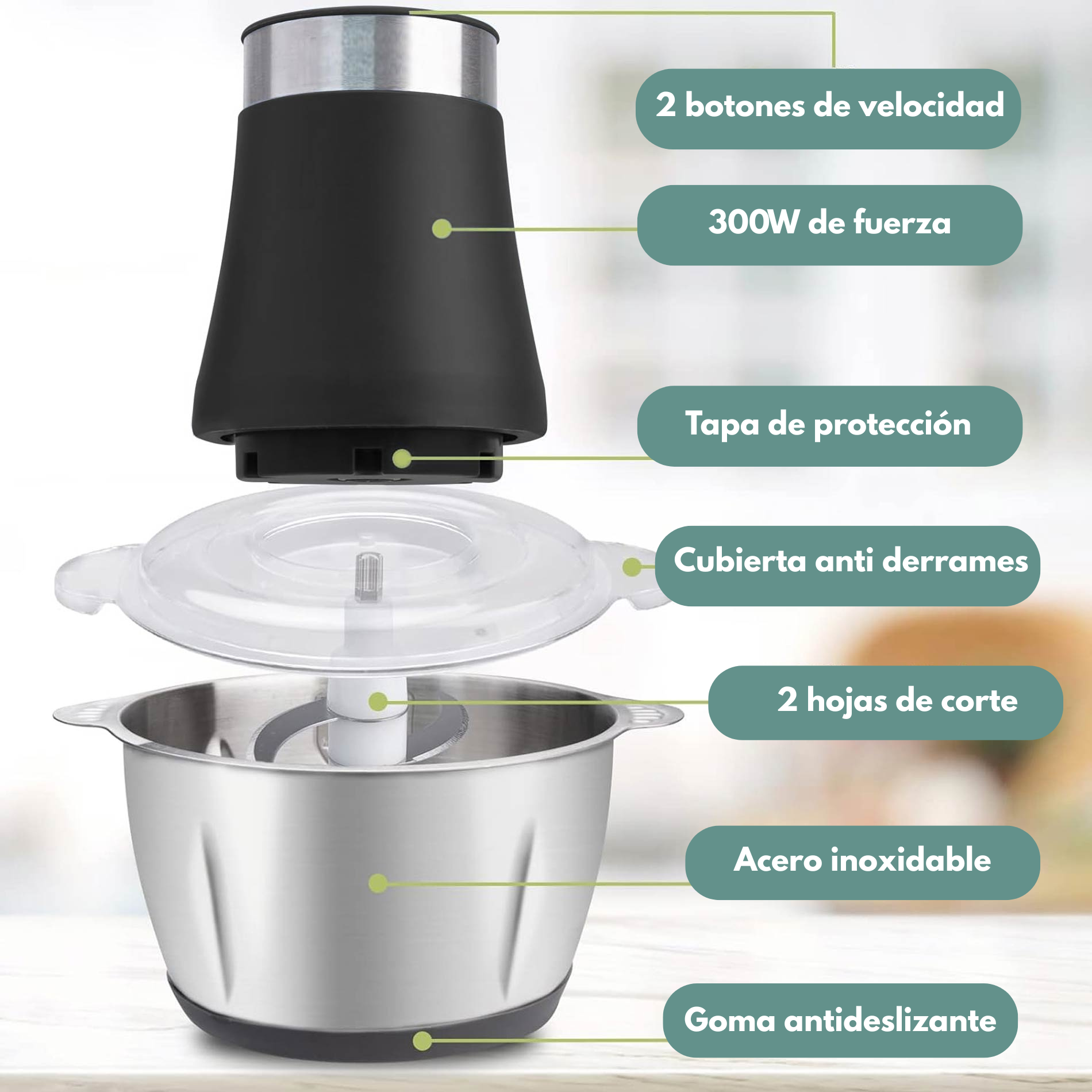 Encabezado