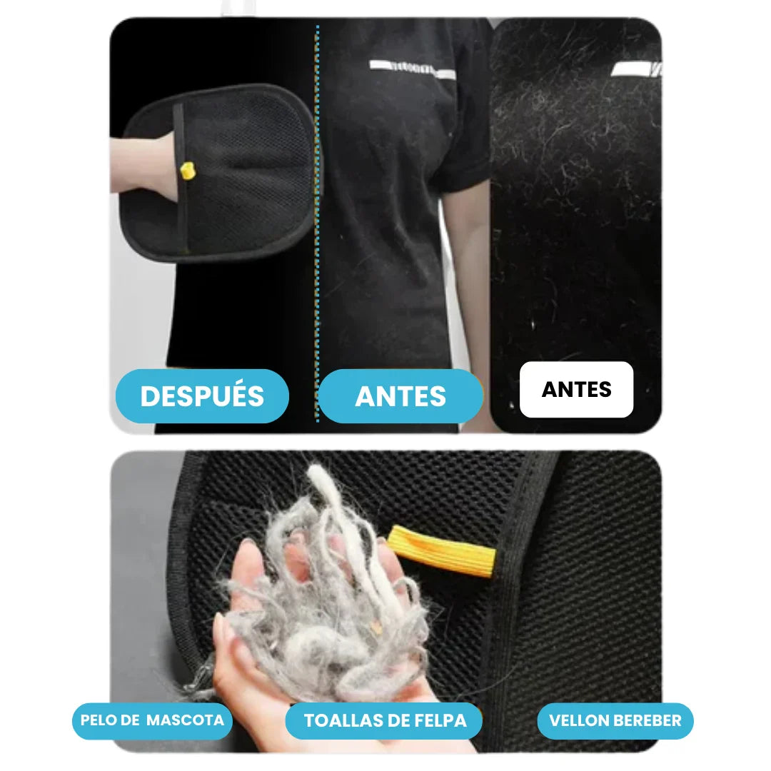 Encabezado